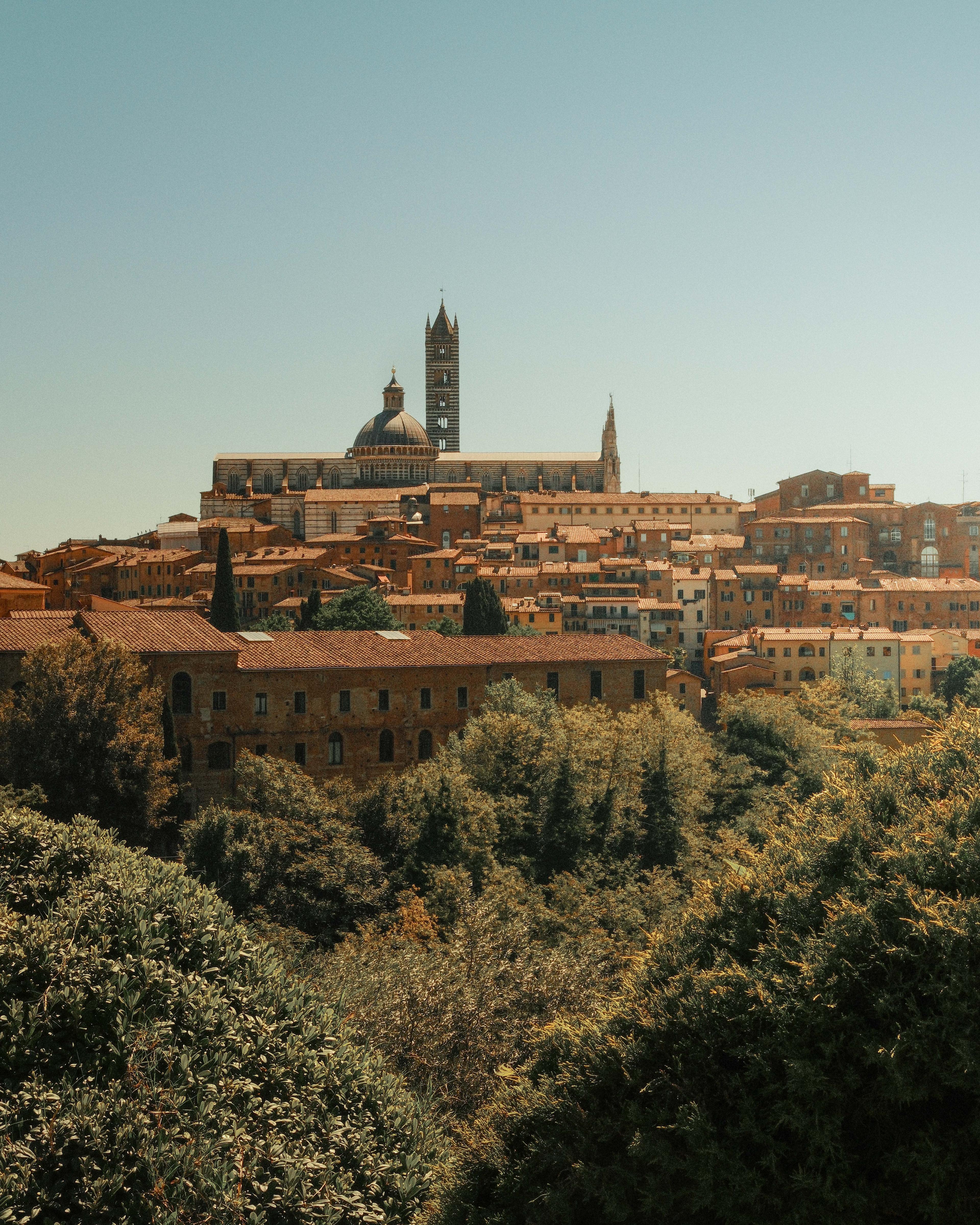 Siena viewed across sunlit rooftops.