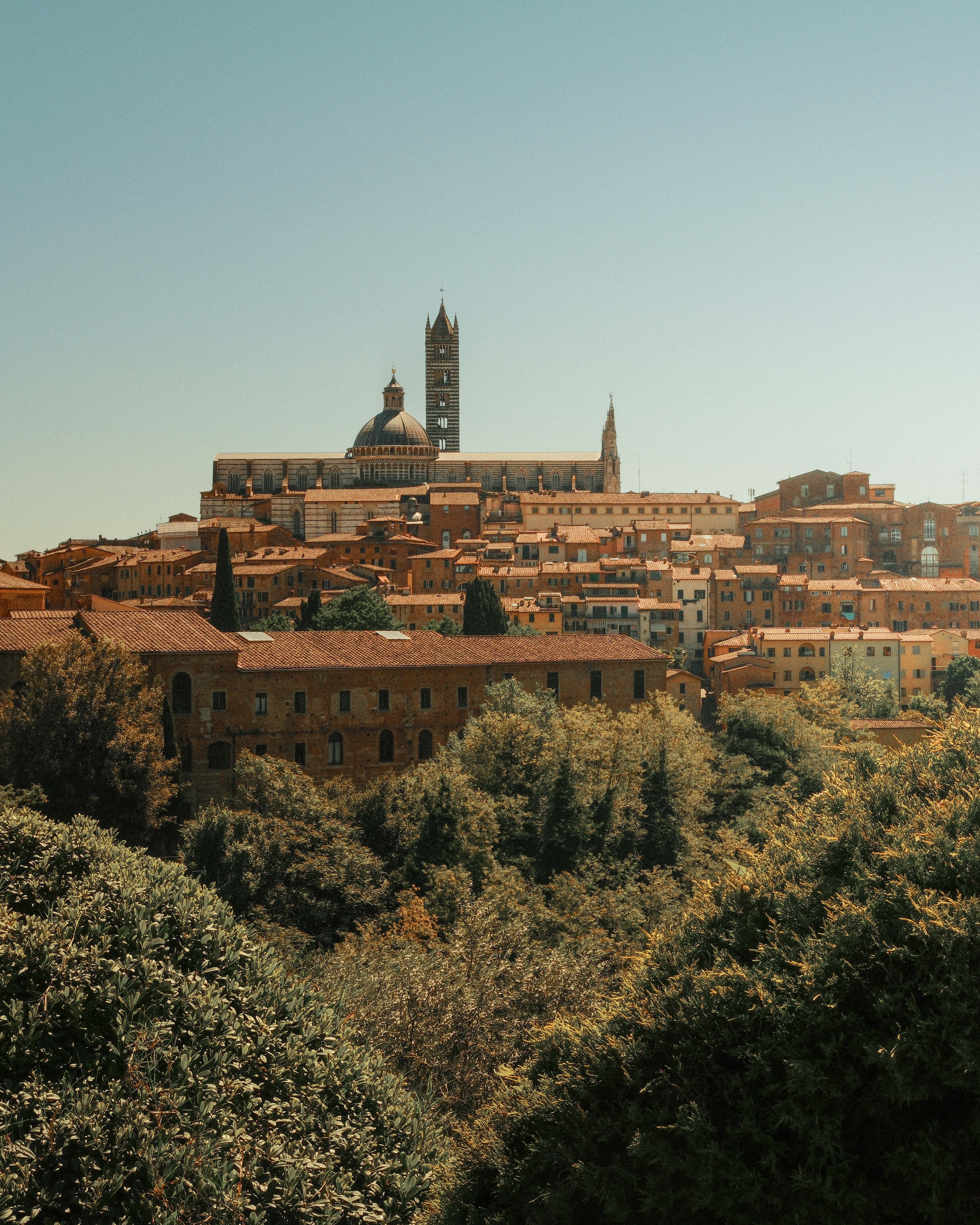 Siena viewed across sunlit rooftops.